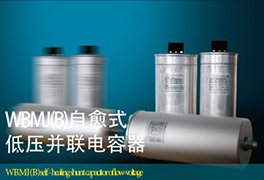 WBMJ(B) Self-healing Low Voltage Shunt Capacitor
