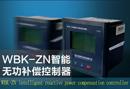 WBK-ZN Intelligent Controller